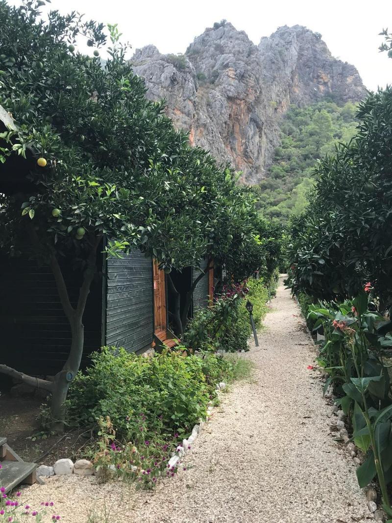 Olympos Tatilya Pansiyon — photo 40