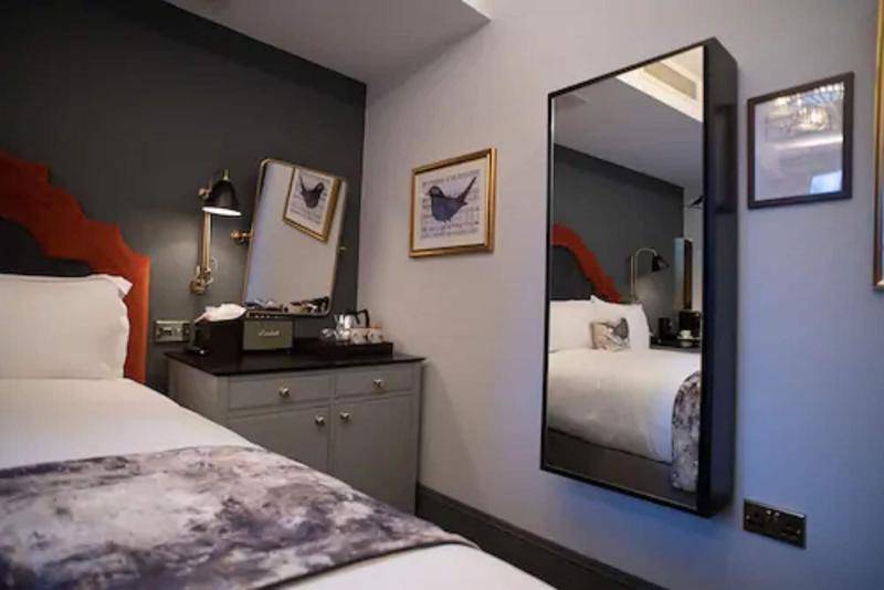 Blackbird image