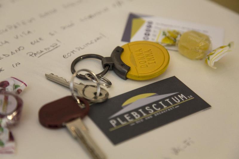 Plebiscitum 2 0 image