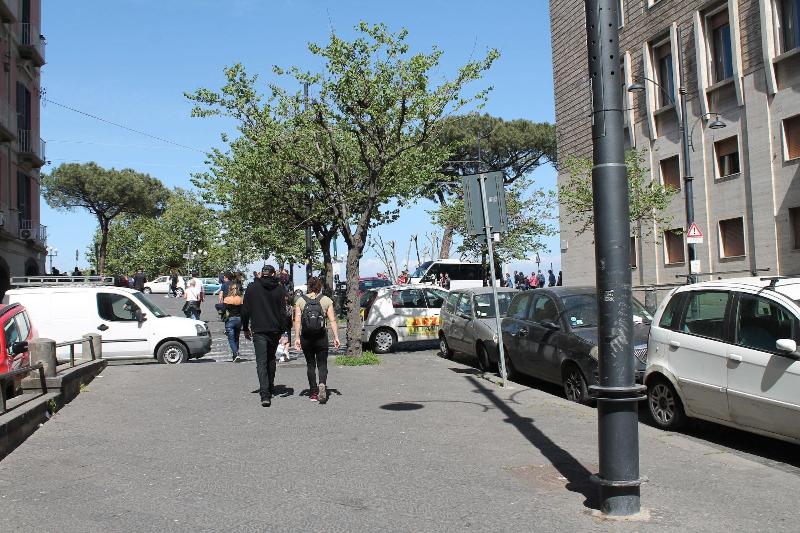 Plebiscitum 2 0 image