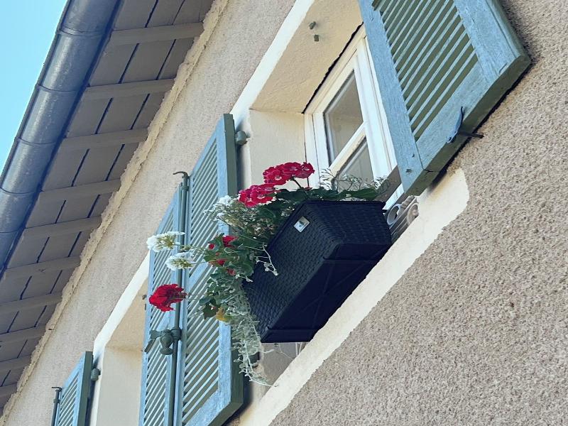 Une Odeur De Tilleul image