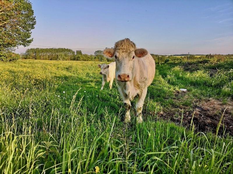 L Etap Corteline image