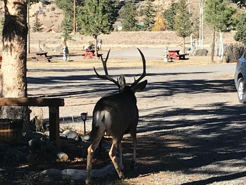 Grandview Cabins Rv Resort