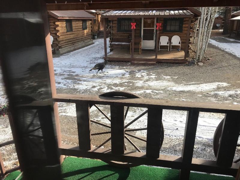 Grandview Cabins Rv Resort