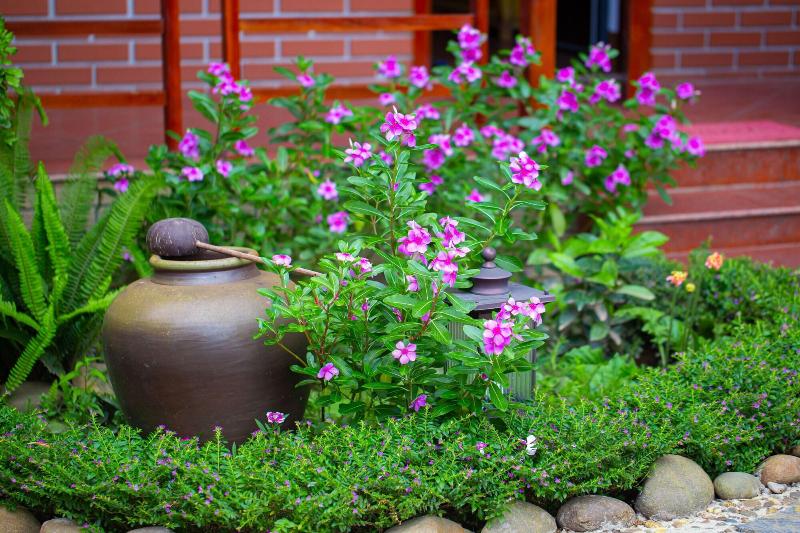 Mh Cherish Homestay image