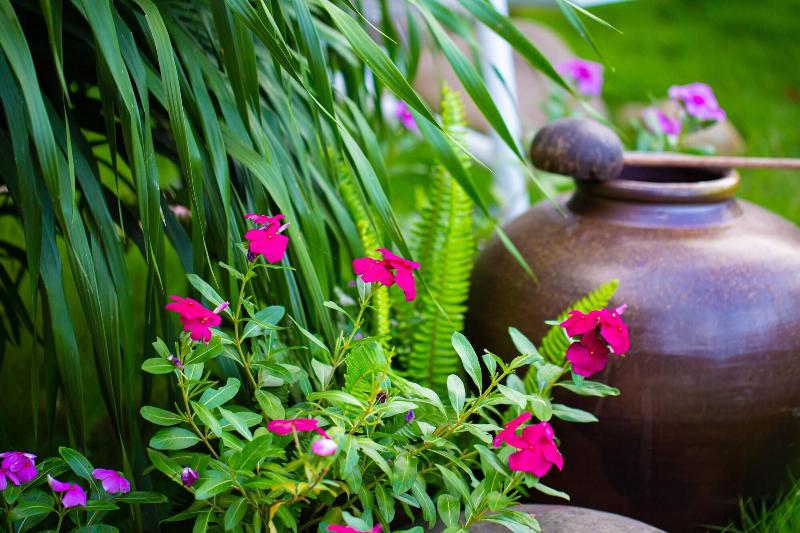 Mh Cherish Homestay image