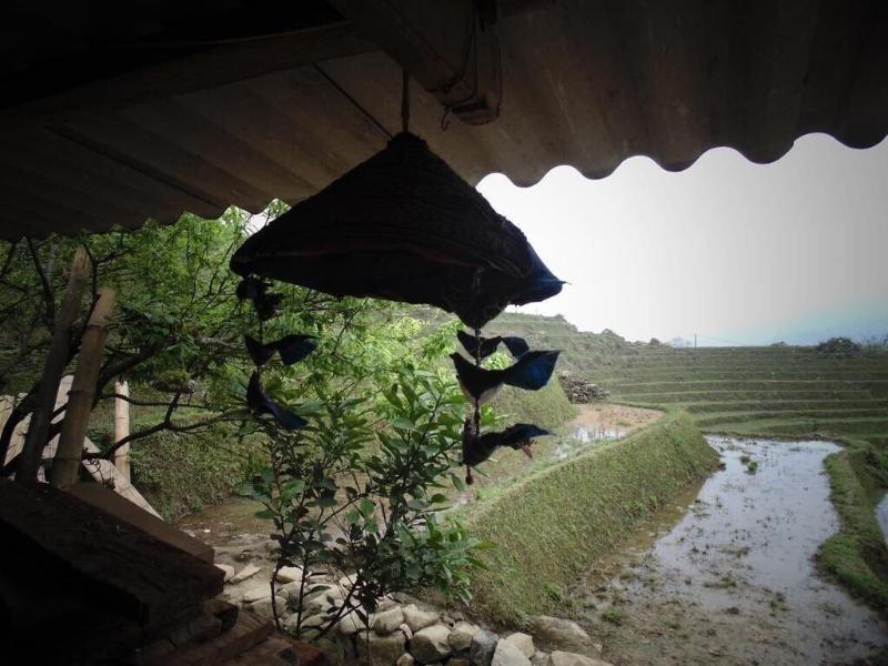 Hmong Sister House Hostel image