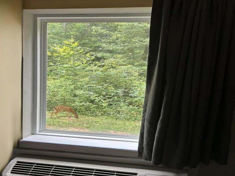 WoodSpring Suites Atlanta Airport image