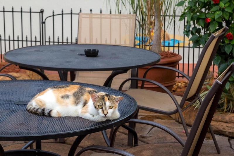 Richard S Pet Friendly Motel image