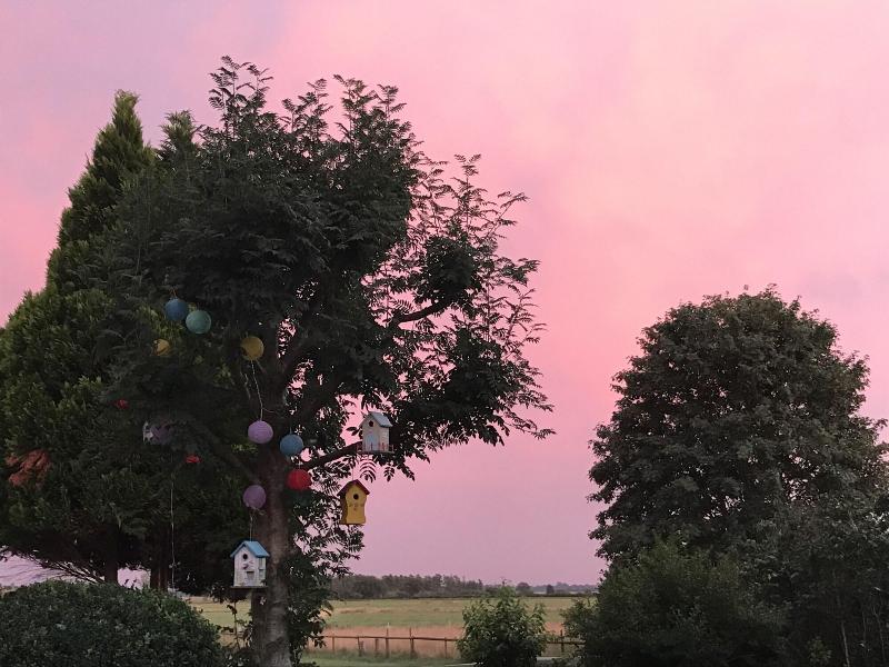 Worpsweder Blick image