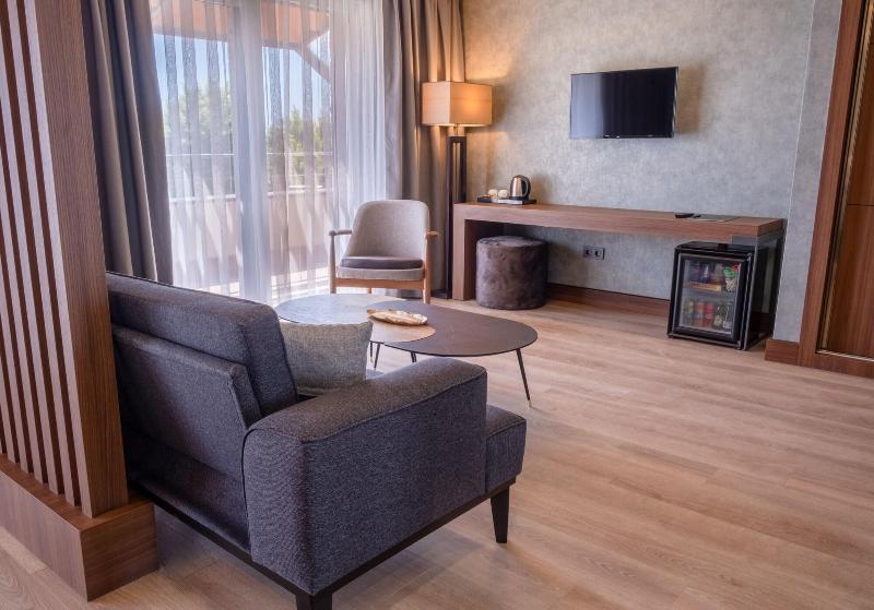 Allia Thermal Health Spa Kazdaglara image