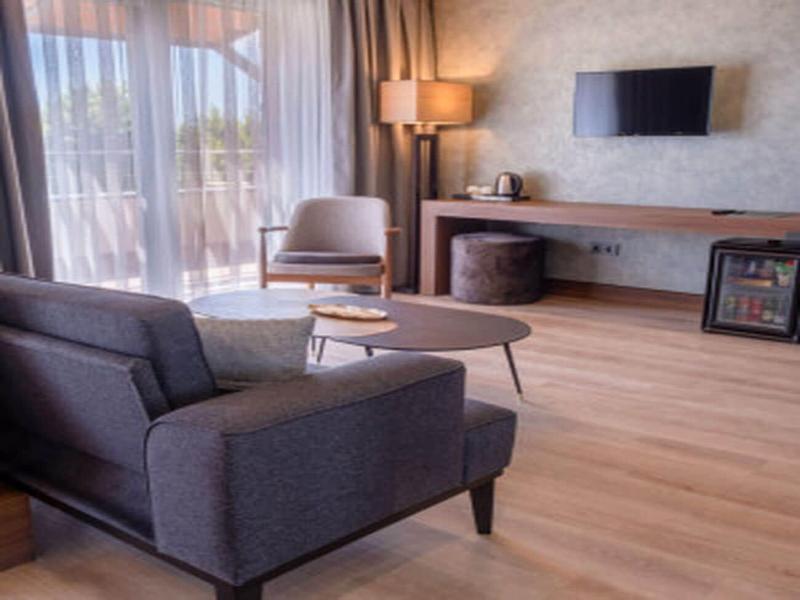Allia Thermal Health Spa Kazdaglara image