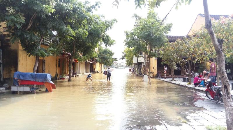Hoi An Town Of Viet House Homestay image