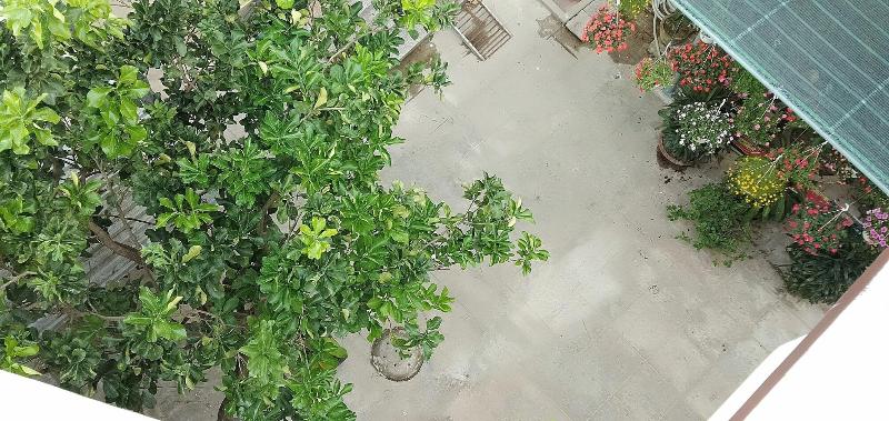 Hoi An Town Of Viet House Homestay image