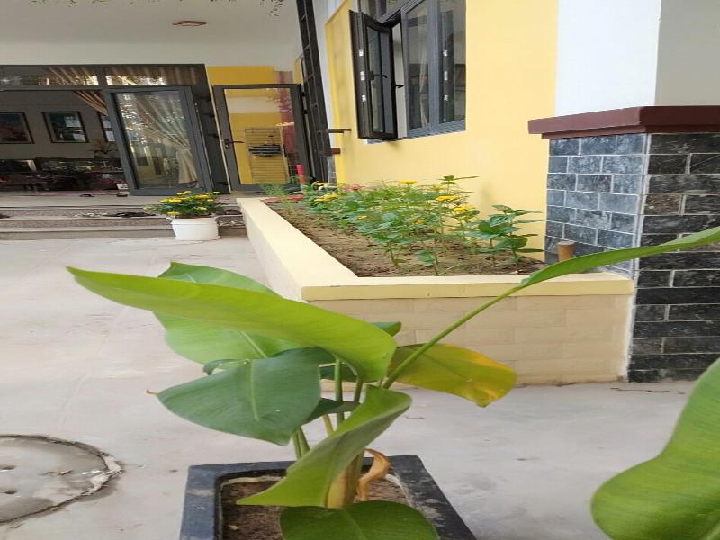 Hoi An Town Of Viet House Homestay image