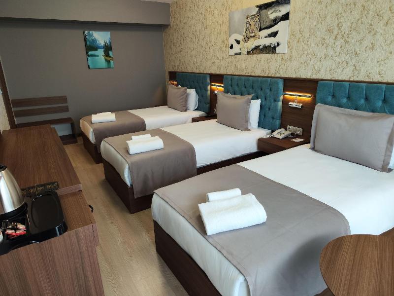 Grand Salizze Hotel image
