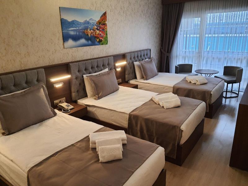 Grand Salizze Hotel image