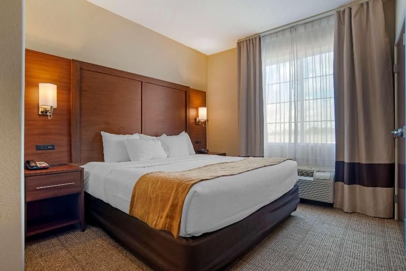 Comfort Suites Alexandria Airport  image