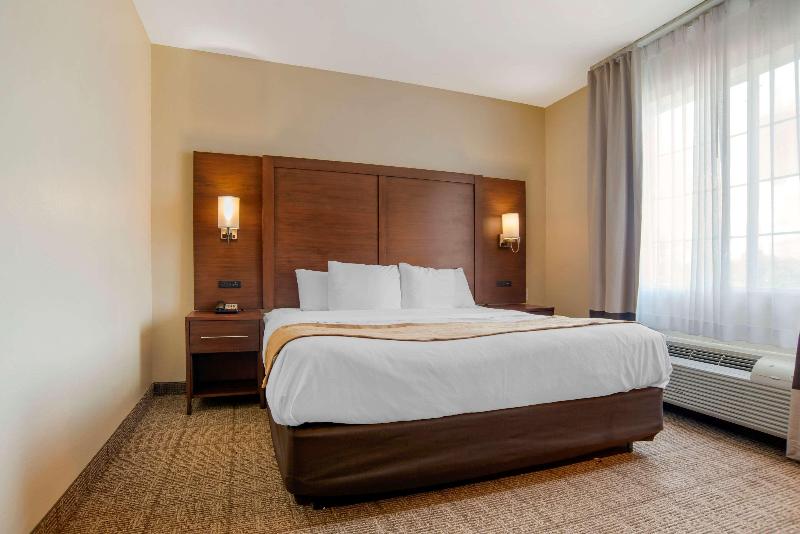 Comfort Suites Alexandria Airport  image
