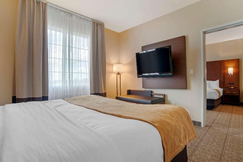 Comfort Suites Alexandria Airport  image