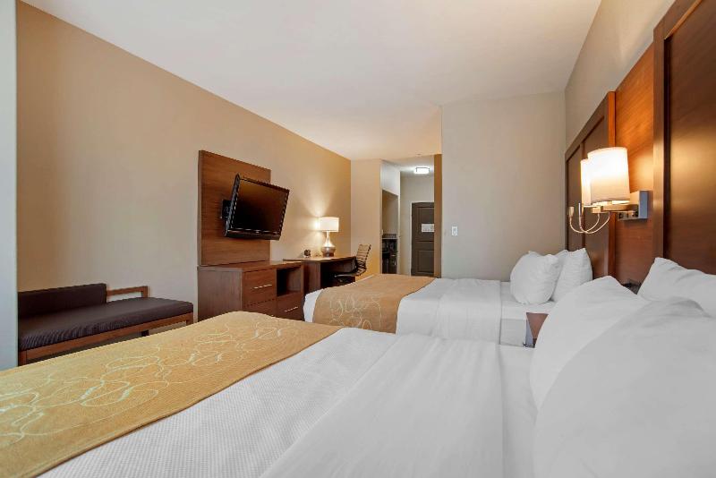 Comfort Suites Alexandria Airport  image