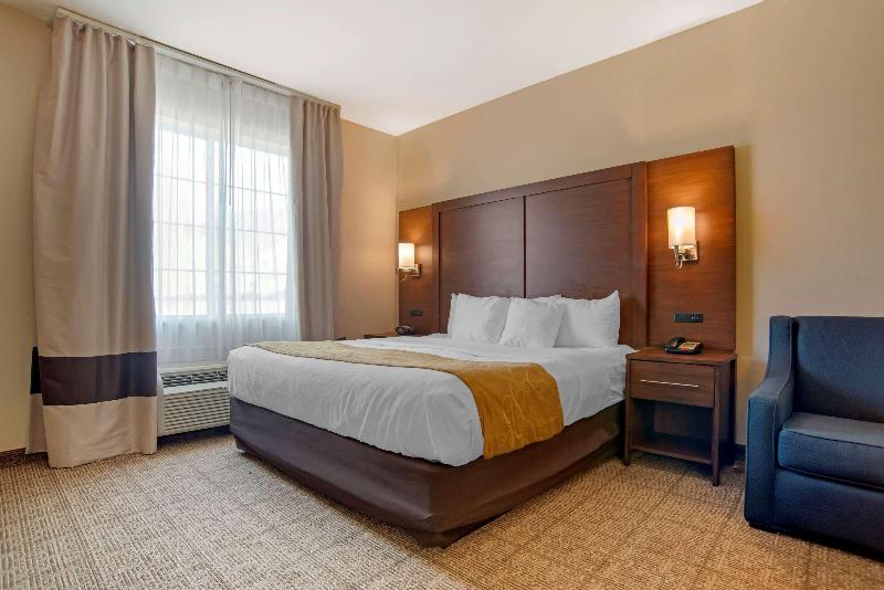 Comfort Suites Alexandria Airport  image