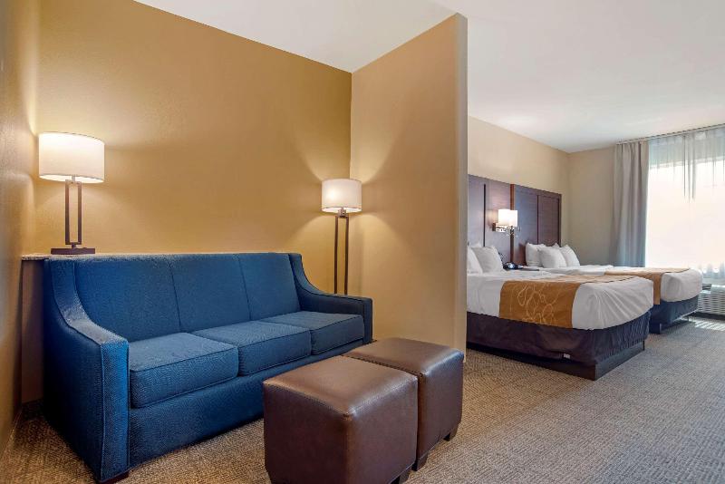Comfort Suites Alexandria Airport  image