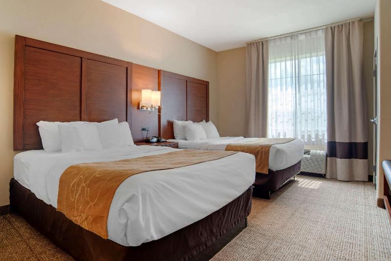 Comfort Suites Alexandria Airport  image