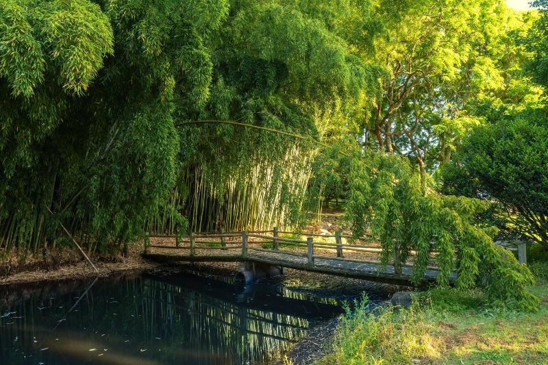 Hana Lodge image