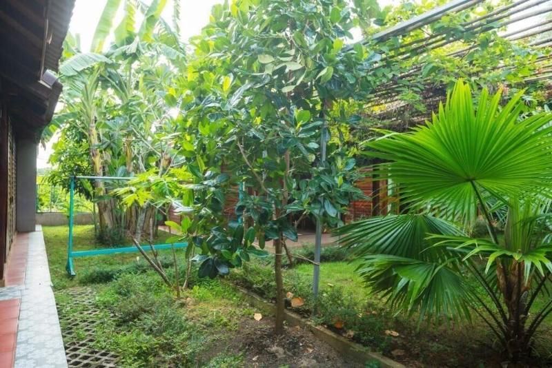 Green Bungalow Phu Quoc image