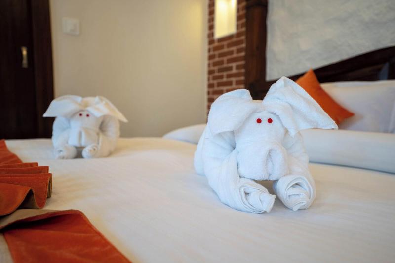 Airport Himalaya Boutique Hotel image