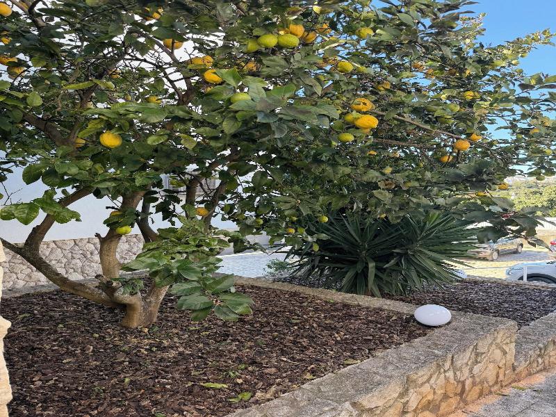 Aparts Suites Summer Cascade Alvor image