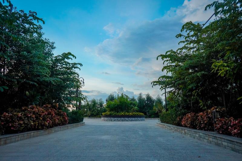 Mayfair Purnea image