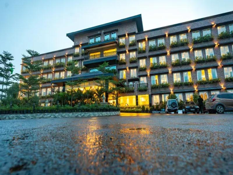 Mayfair Purnea image 4