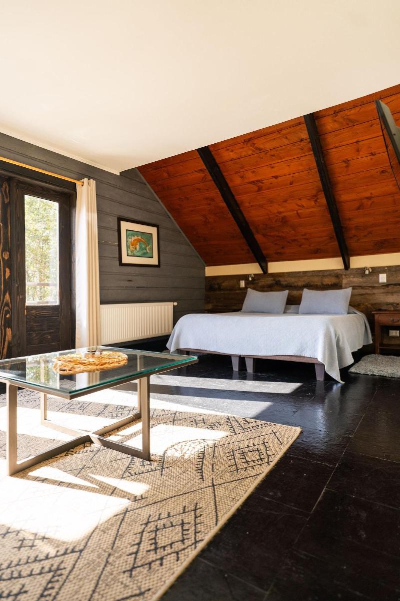 Hotel Newen Bnb image