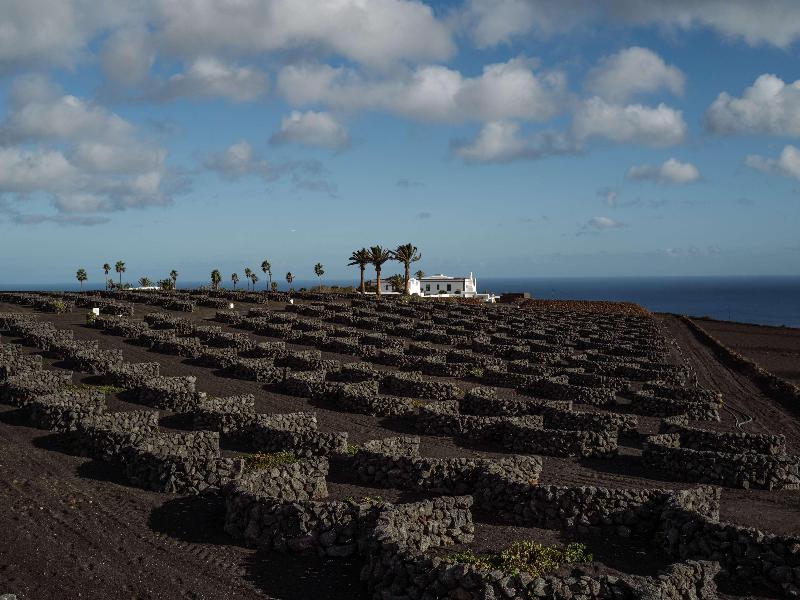 Hotel Cesar Lanzarote image
