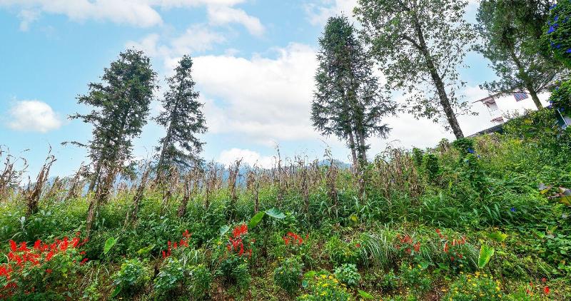Charm Hill Sapa Hotel image