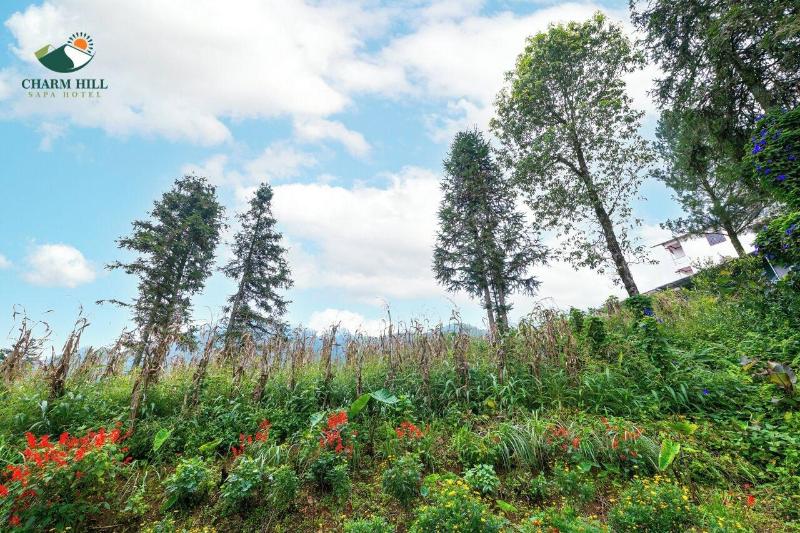 Charm Hill Sapa Hotel image