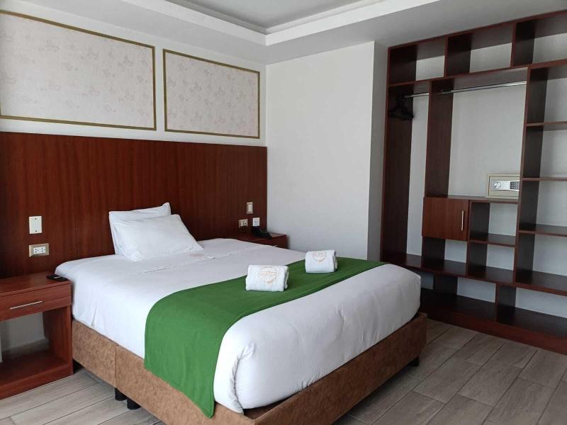 Hotel El Alamo Ejecutivo Spa image