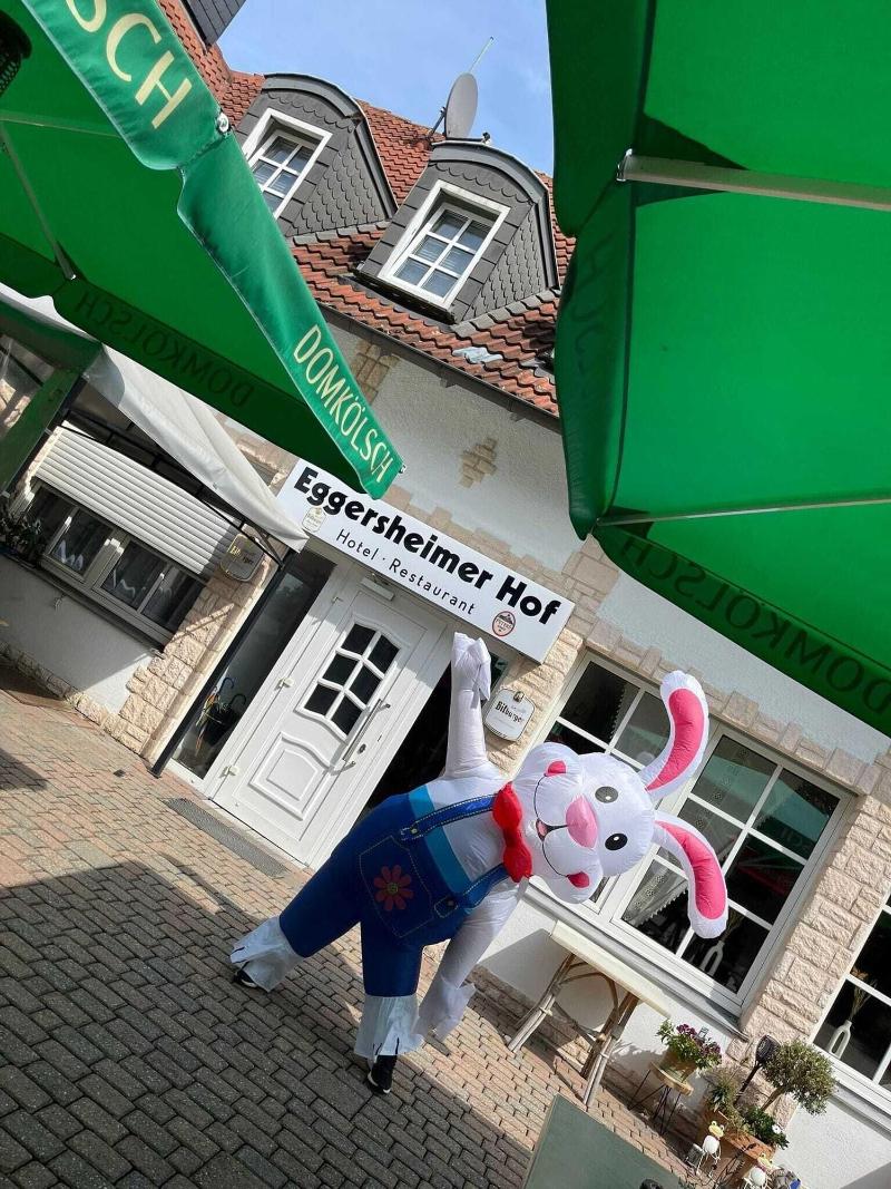 Eggersheimer Hof image