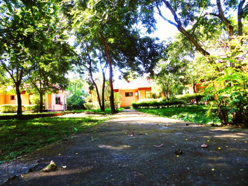 Mikumi Resort & Campsite image