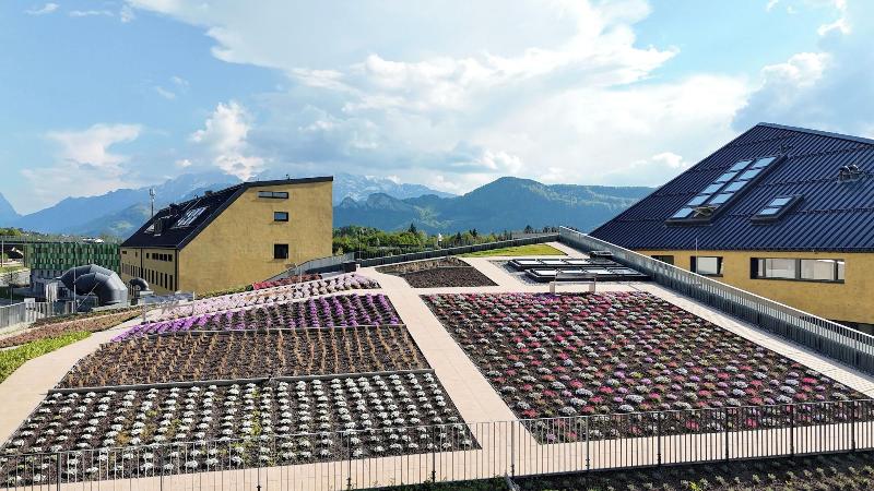Hotel Zentrum Für Visionen image
