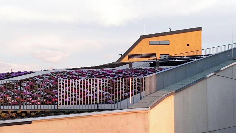 Hotel Zentrum Für Visionen image