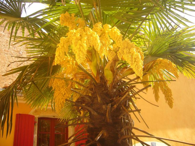 Hotel L Oronge image