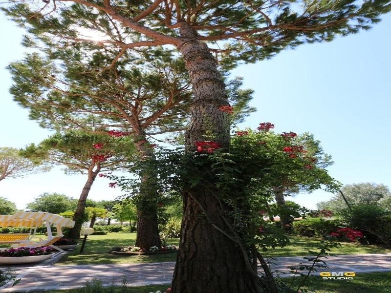 Hotel Hiki image