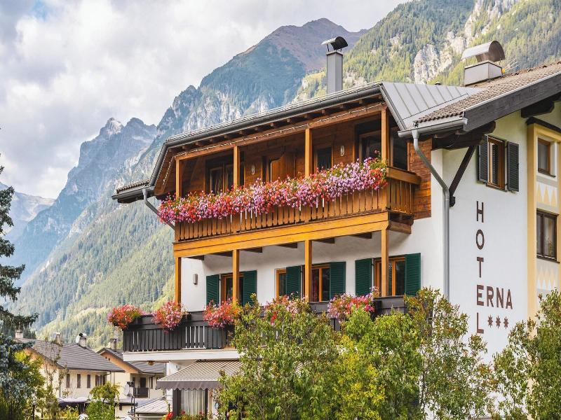 Hotel Erna image