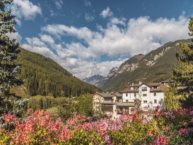 Hotel Erna image