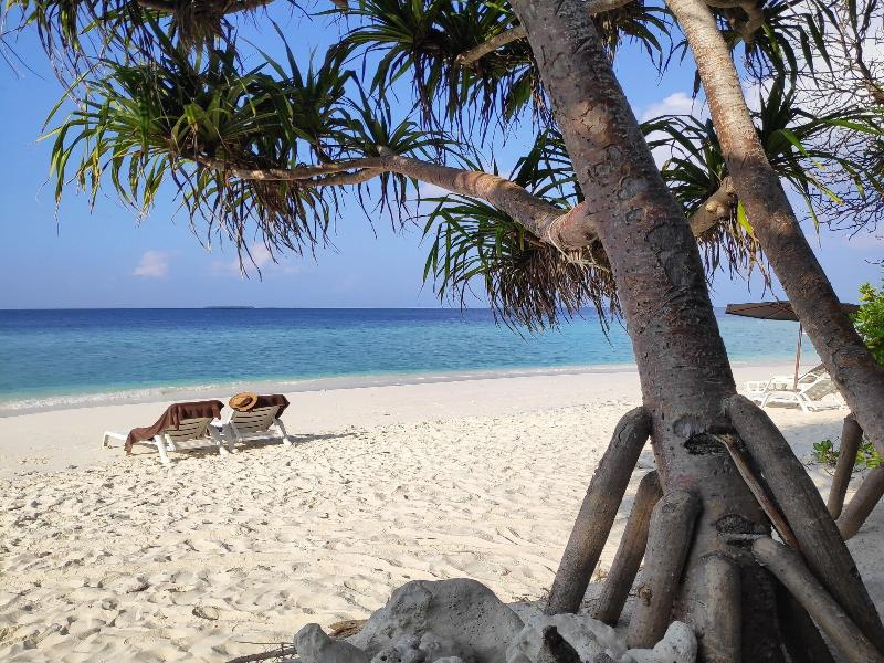 Nala Veli Beach & Spa image