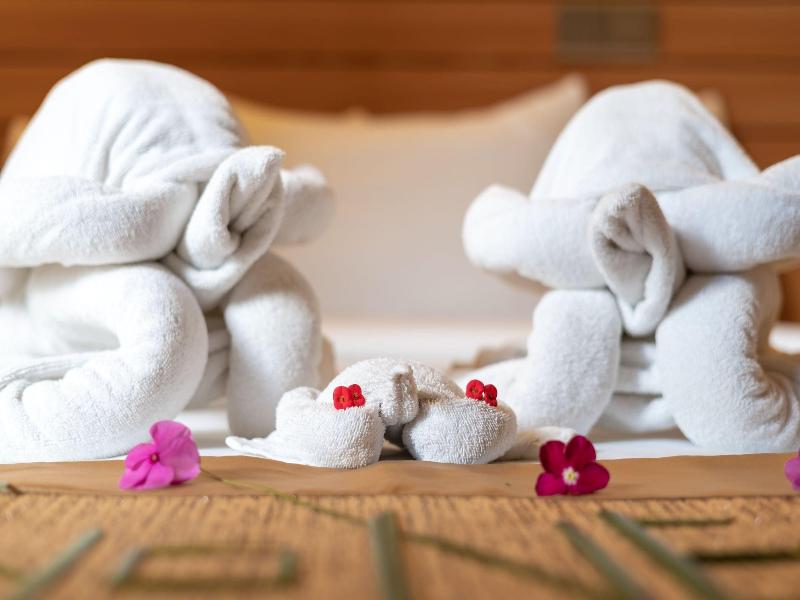 Nala Veli Beach & Spa image