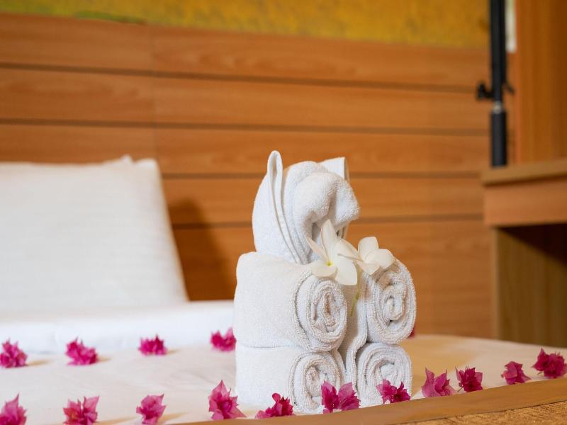 Nala Veli Beach & Spa image